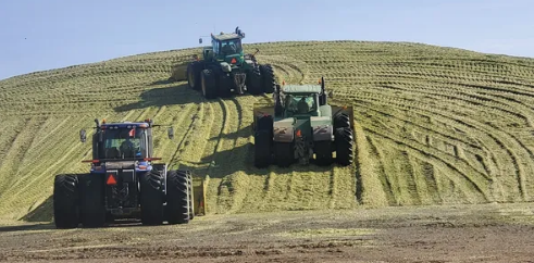 Slingerland Cattle Custom Silaging & Ag Services Ltd. - Farming & Agricultural Services in Picture Butte, Alberta